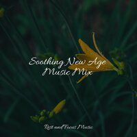 Kiss in the Spring - Anxiety Relief & Ambient Music Therapy & Wellness