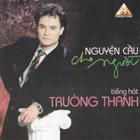 Đừng trách gì nhau - Trường Thanh