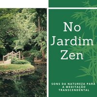 Meditação Transcendental - Luiz Natureza dos Reis