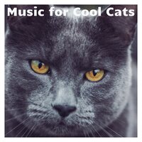 Night Time Noises - Music For Cats Peace & Cat Music Therapy & Calm Music for Cats