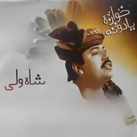 Chi Afghanan Charta Osegi - Ustad Shah Wali