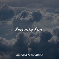 Peace in the Pine Forest - Relaxing Music Therapy & Musica relajante & Nature Sounds Nature Music