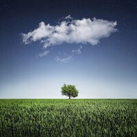 Pure Zen - Musica Meditaction & Música de la Naturaleza & Canciones de Cuna para Bebés Acadèmico