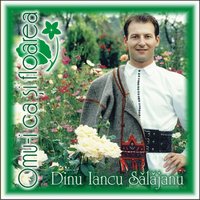 Luai cal, luai caruta - Dinu Iancu Salajanu