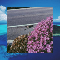 Natural Instinct - High Sunn