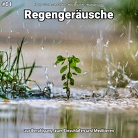 Regengeräusche, pt. 11 - Regengeräusche zum Schlafen & Naturgeräusche & Regengeräusche
