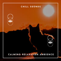 Spirits Awaken - Wellbeing Relaxation Ambience Chill