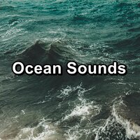 Storm Ambience on Sea Shore - Rain Sounds & Ocean Sounds Collection & Calming Waves
