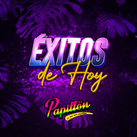 Cantinero - Papillon