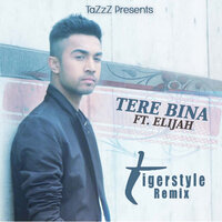 Tere Bina - TaZzZ & Elijah