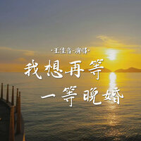 我想再等一等晚婚 - 王佳音