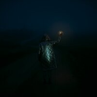 Silent Fields - nøave