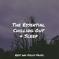 Passive Daylight - Easy Sleep Music & Yoga Sounds & Monarch Baby Lullaby Institute