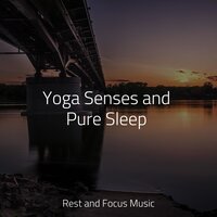 Beach Sand - Ruído branco & Study Power & Massage Tribe