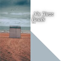 Birds - Chilllance