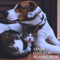 Puppy Sleep Music - Music For Dogs With Anxiety & Cat Music & Music For Cats