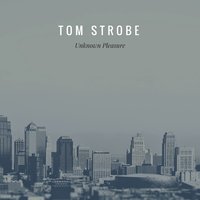 She Likes Fashion (On Me) - Tom Strobe