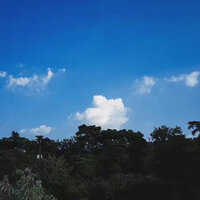 二月里来 - 杨箐