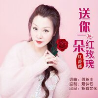 送你一朵红玫瑰 - 红蔷薇