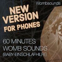 60 Minutes Womb Sounds (Baby-Einschlafhilfe), Pt. 16 - Wombsounds