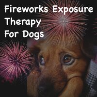 Dog Fireworks Training Level 2 - Diggity Dog Pet Music