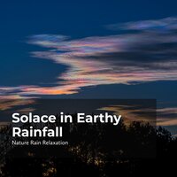 Lush Nature Quietude - Rain Recorders & Rainfall & Nature Rain Relaxation