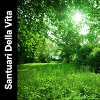 Suoni melodici della pioggia per la pace e la calma, Pt. 17 - Suoni Naturali