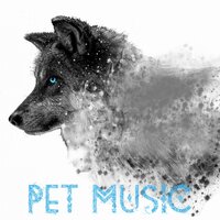 Find Yourself - Dog Music & Dog Music Dreams & Dog Music Therapy