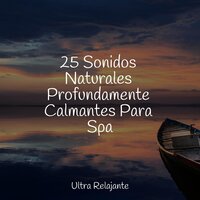 Susurros Junto Al Mar - Musica Para Dormir y Sonidos de la Naturaleza & Maestros de música de la meditación & Música a Relajarse