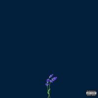 fragile - gnash & Wrenn