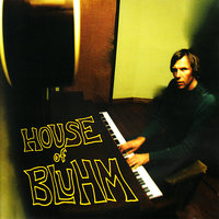 You Can't Dive In - Tim Bluhm
