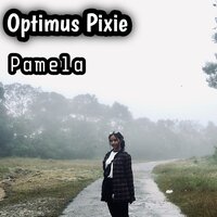 Rapident Guards - Pamela
