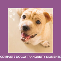 Weekend Time - Dog Chill Out Music