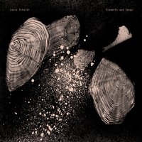 The Hole - Laura Schuler