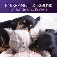 Tranquility - Entspannungsmusik Culture