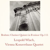 Clarinet Quintet in B minor, op. 115 I. Allegro - Vienna Konzerthaus Quartet & Leopold Wlach & Иоганнес Брамс