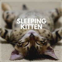 Warming Harmony for Kittens - Cats Music Zone