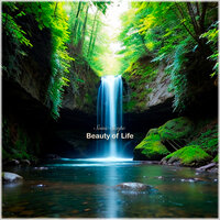Beauty of Life - Sonic Scope