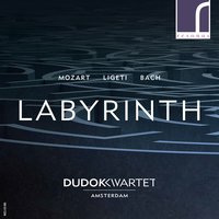 String Quartet No. 2: II. Sostenuto, molto calmo - Dudok Quartet Amsterdam & Дьёрдь Лигети