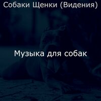 Моменты (Спящие собаки) - Музыка для собак