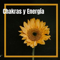 Memorias - Meditacion Budista Maestros