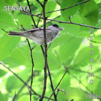 Mountain Man Dub - Sensaya