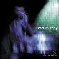 My Last Two Weeks - Peter Murphy