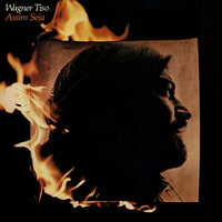 Alegro - Wagner Tiso