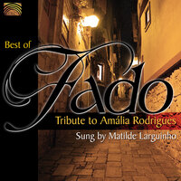 Ó Pinheiro meu irmão - Matilde Larguinho & Antonio Carvalho & Alfredo Peña