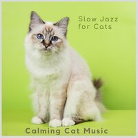 Sweet Cat Music - Calming Cat Music