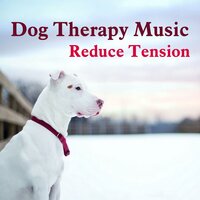 Pet Song - Jazz Music for Dogs & Music for Dogs Peace & Dogs Jazz