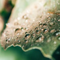 Strong Rains Outside - A Sudden Rainstorm & Meditation Relaxation Club & Nature & Sounds Backgrounds
