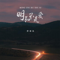 明知不是爱 - 胖球鱼