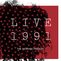Corduroy - The Wedding Present